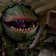 Illustration for article titled Little Shop Of Horrors: The Director’s Cut